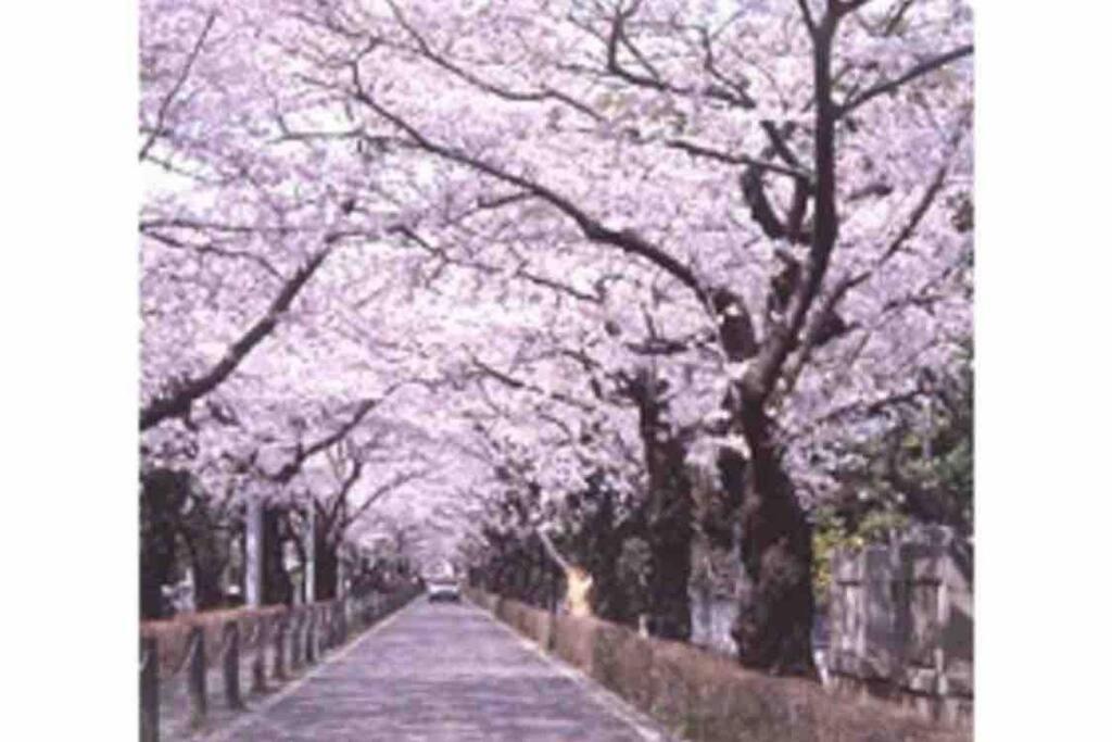 Small Villa Tokyo 渋谷まで2駅10分 青山一丁目駅徒歩3分一軒家ペット歓迎お子様歓迎駐車場あり6人までok Bagian luar foto